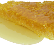 Natürliche Antibiotika: Honig